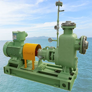 Self-priming Petrochemical Process Pump111.jpg